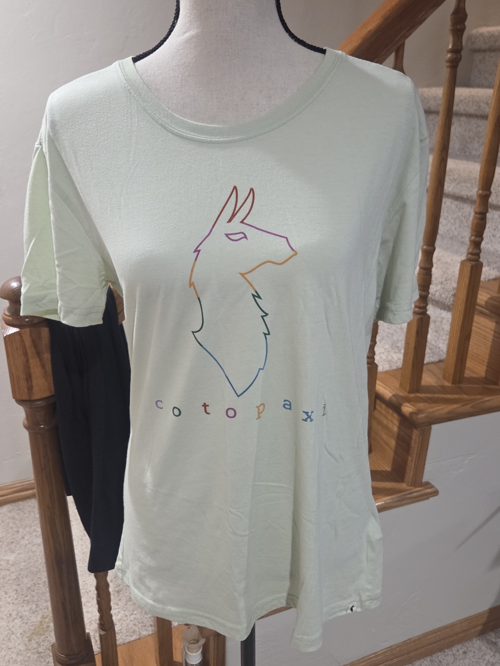 cotopaxi Mint Tee with Rainbow Llama Outline